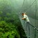 Dos hombres miran por sobre el costado de un puente en medio de un bosque tropical